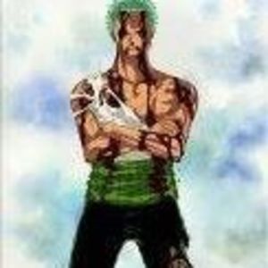 Meet your Posher, Roronoa