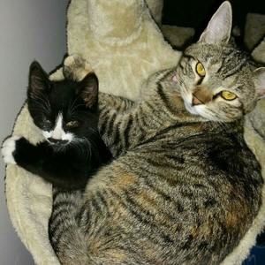 Meet your Posher, Nickole