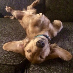 Meet your Posher, Emma