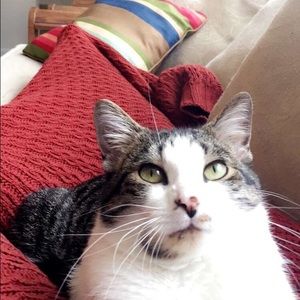 Meet your Posher, Lacie