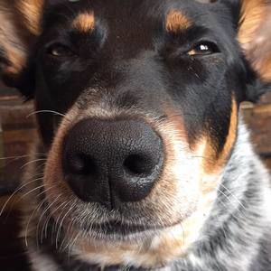 Meet your Posher, Jacinda