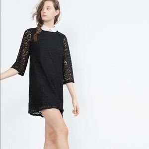 Zara Black Lace Dress with Peter Pan Collar
