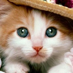 CLEARANCE! ! GREAT PRICES !Visit my closet!