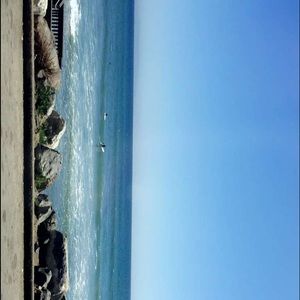 Meet your Posher, Avery