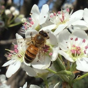 Meet your Posher, Julia