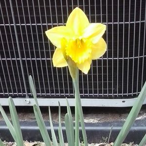 Meet your Posher, Carole