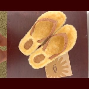 Ugg flip flops ( new in box and never worn )