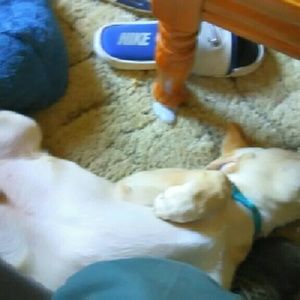 Meet your Posher, Vicky