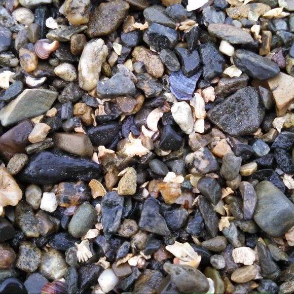 Meet your Posher, Deb