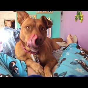 Meet your Posher, Cora