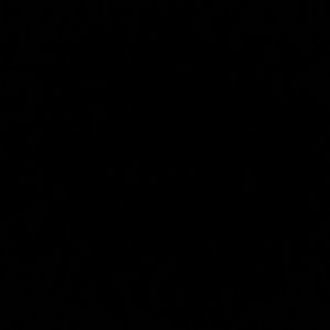 Meet your Posher, Frances