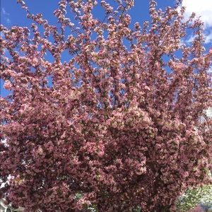 Meet your Posher, Eden