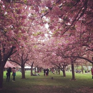 Meet your Posher, Juliana