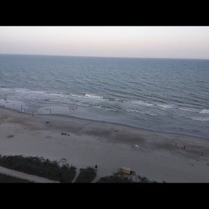 Meet your Posher, Bridgett