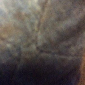 Meet your Posher, Billy