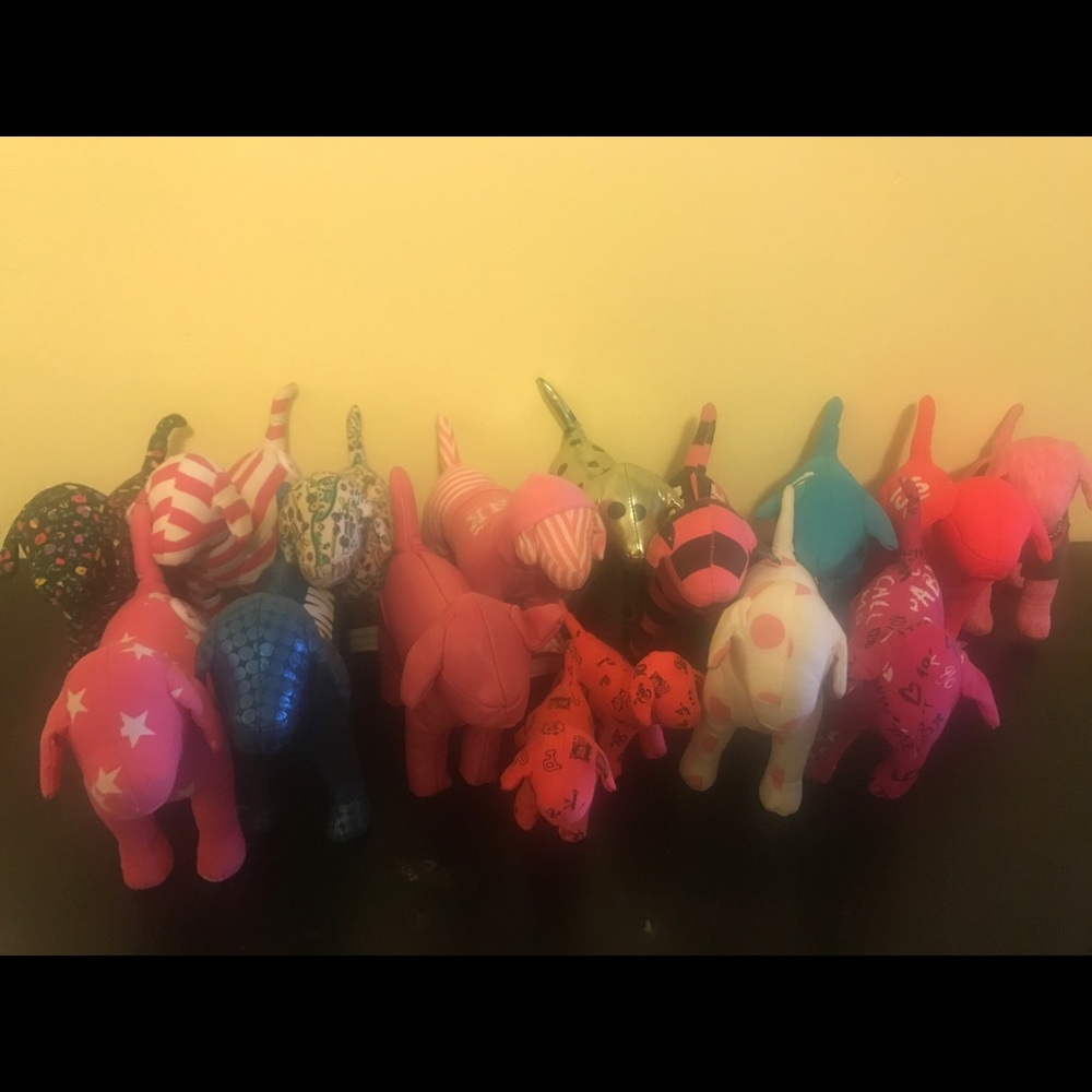 16 Victoria secret dogs