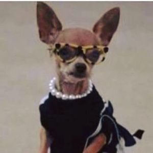 Meet your Posher, Alex