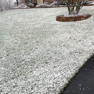 Meet your Posher, Beverly