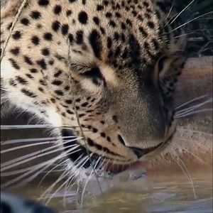 Meet your Posher, Tashauna