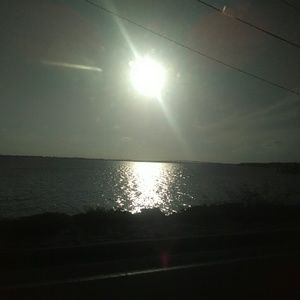 Meet your Posher, Sheila