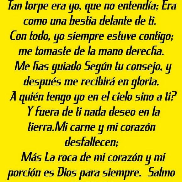 Meet your Posher, Amanda - Picture 1 of 1