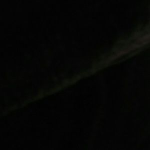 Meet your Posher, Tonisha