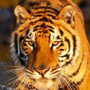 Meet your Posher, Claudette