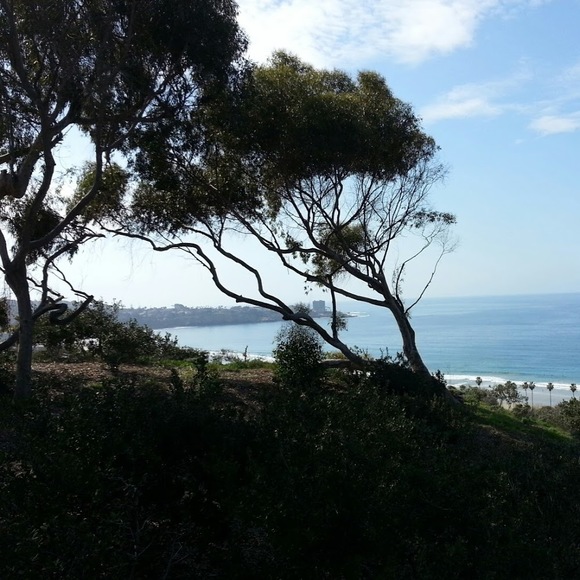 Meet your Posher, Kate - Picture 1 of 1