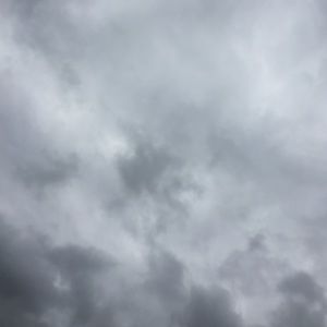 Meet your Posher, Peter