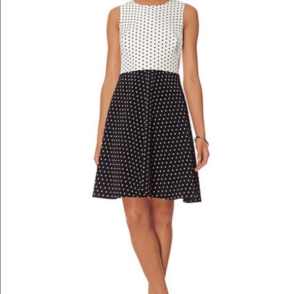 The Limited Dresses & Skirts - Polka Dot A-Line Dress