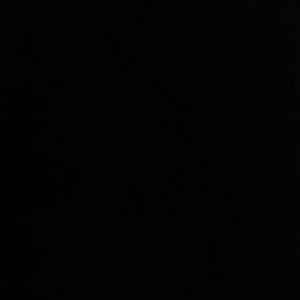 Meet your Posher, Maya