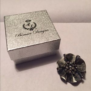 Camille  brooch/necklace enhancer.