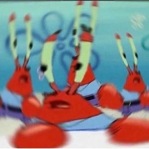 Meet your Posher, Lanz