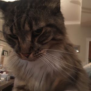 Meet your Posher, Jamie