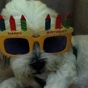 Meet your Posher, Buddy