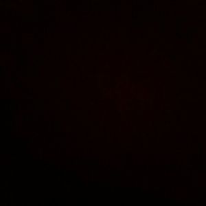 Meet your Posher, Anne