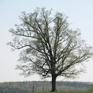 Meet your Posher, Leann