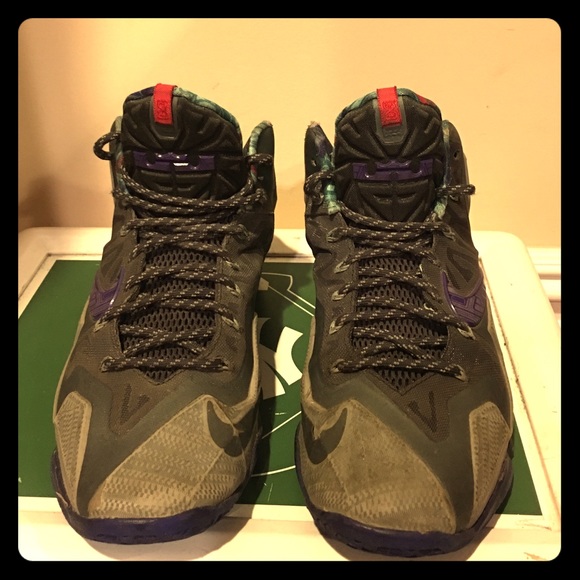 Nike Shoes - Lebron 12 shoes