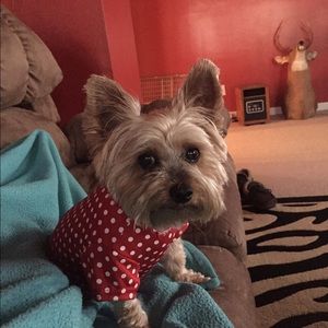 Meet your Posher, Melissa