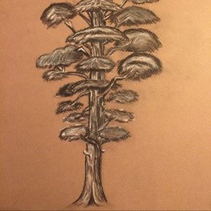 Meet your Posher, Diego