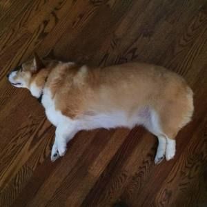 Meet your Posher, Luke