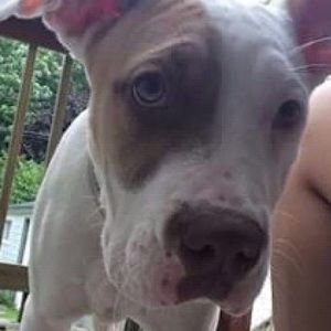 Meet your Posher, Elliana