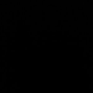 Meet your Posher, Martha