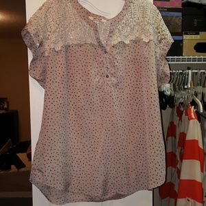 Daniel Rainn top