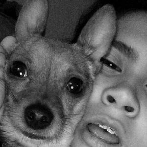 Meet your Posher, Joesell