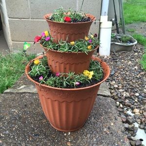 Meet your Posher, Terri