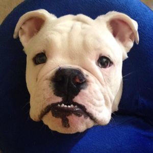 Meet your Posher, Michaelandmelissa