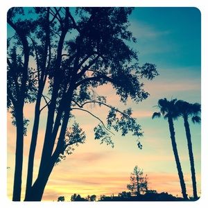 Meet your Posher, Edie.