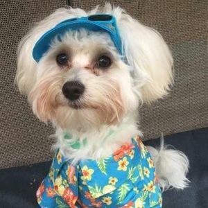 Meet your Posher, Deanna