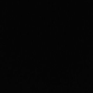 Meet your Posher, Aline